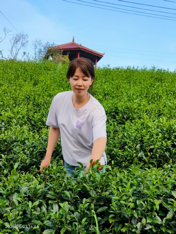 Q绮芳的第一张照片--莆田残疾人相亲网